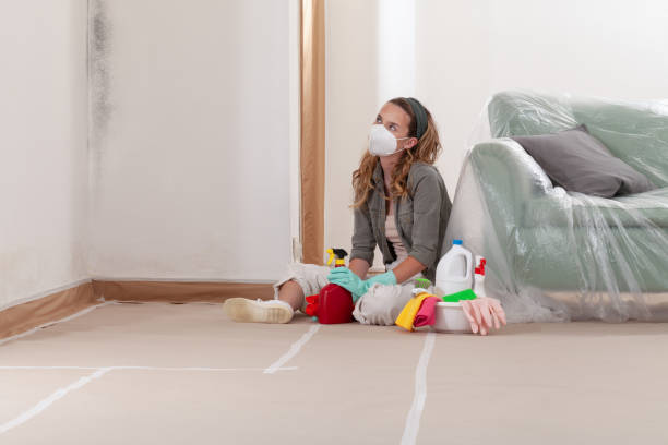 Reliable Black Mold Removal contractor in Lothian, MD by WQB Mold Removal